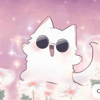 cat😺
