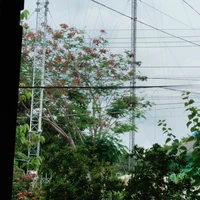 Khối nghỉ hè=)