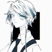Akari Reiji