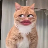 hệ thống (510)