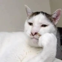 nhung ái . vợ ông chủ