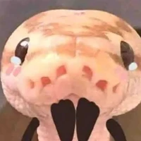 tất cả những người có mặt