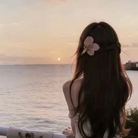 Lê Ngọc Hạ Anh (y/n)