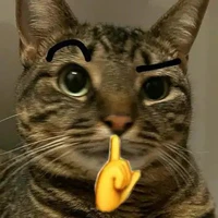 t/g