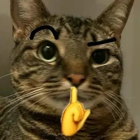 t/g