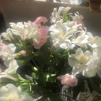 cân mọi nhân vật