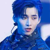 Huỳnh Hoàng Hùng(Gemini Hùng Huỳnh)