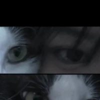 Tác Giả Loading.....⭕