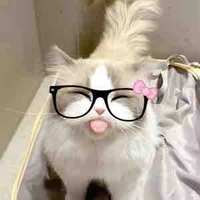 Tác Giả:>