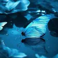 All •trừ những người cần trừ•