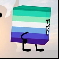 gay blocky