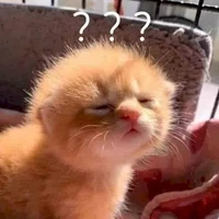 Nlinh