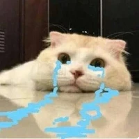 y/n lúc nhỏ