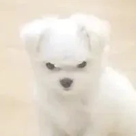 ？？？