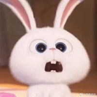 bowen là thỏ snowball🐰