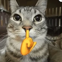 t/g