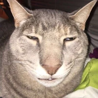 ？？？