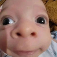 Tất cả mọi người