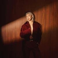 đồng ánh quỳnh