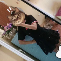 tác giả nèe