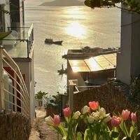 All ( trừ ai thì trừ )