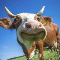 :>