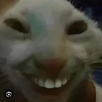 Cả_Lớp
