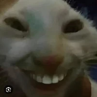 Cả_Lớp