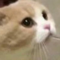 Nhân vật bí ẩn