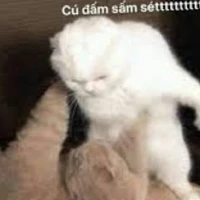 Nhân vật phụ. "Nữ"