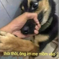 Thằng stupid "Ny nữ9 l*n"