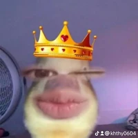 t/g