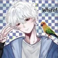 white mc