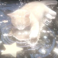 ★T/g¡Missouri! ★