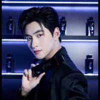 Hoàng Hùng Hùng Huỳnh Gemini
