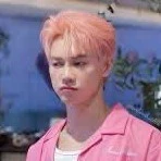 Nguyễn Thái Sơn - Sơn