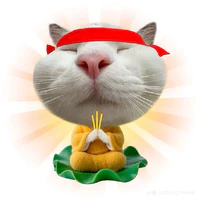 tác giả🐝