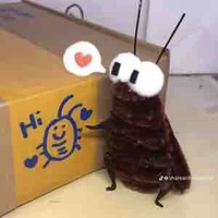 Nhỏ tg