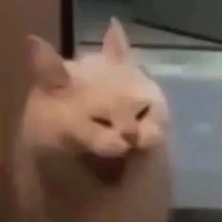 Uiaaaaaaaa