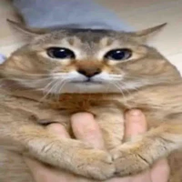 ?
