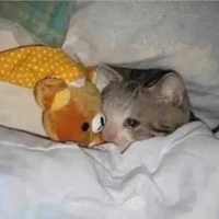 All(trừ ai thì trừ)