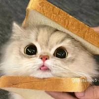 all 