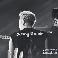 Trần đăng dương