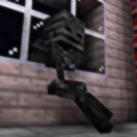 Wither(Wiriter)(thế giới xuyên kh)