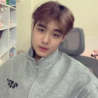 thái sơn