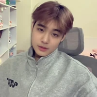 thái sơn
