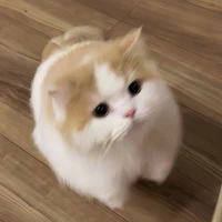 Kẹo