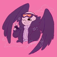 Bird Sans