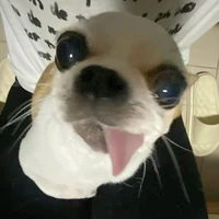 mẹt thị lộnn xào