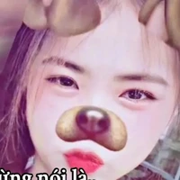 gia hân